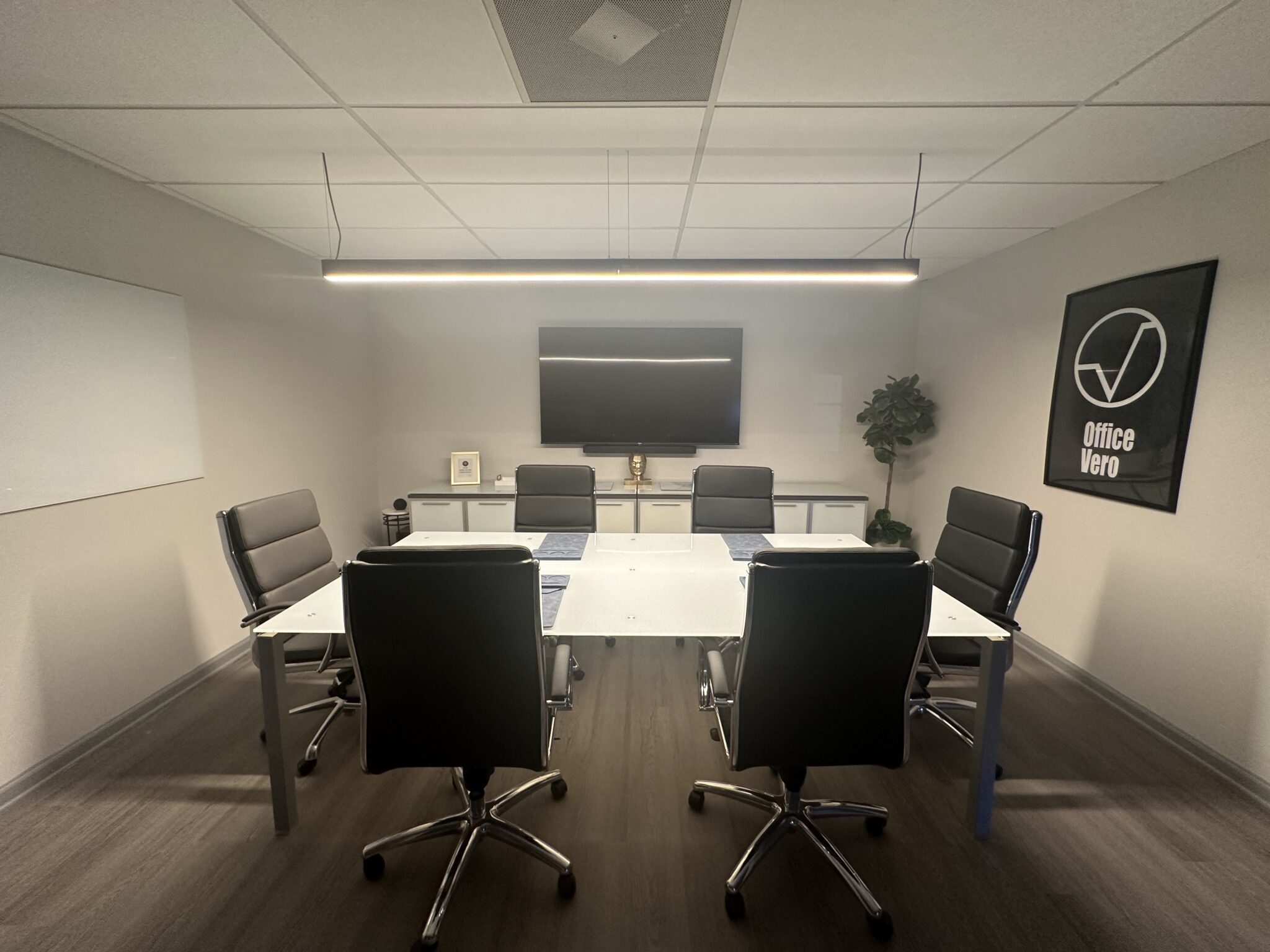 Meeting and video conference room